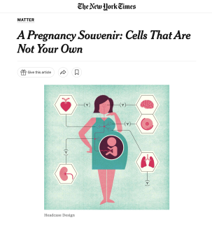 New York Times - Article Thumbnail